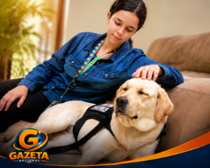 Cão de assistência transforma rotina de estudante com autismo no interior de São Paulo